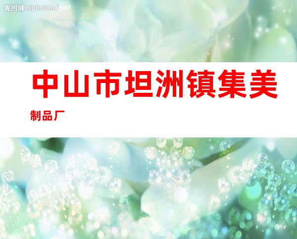 中山市坦洲镇集美制品厂